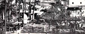2812- Alger - Place du Gouvernement2 - 1951